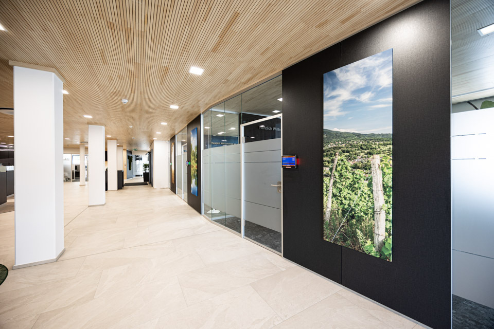 Volksbank Muellheim Systemtrennwand